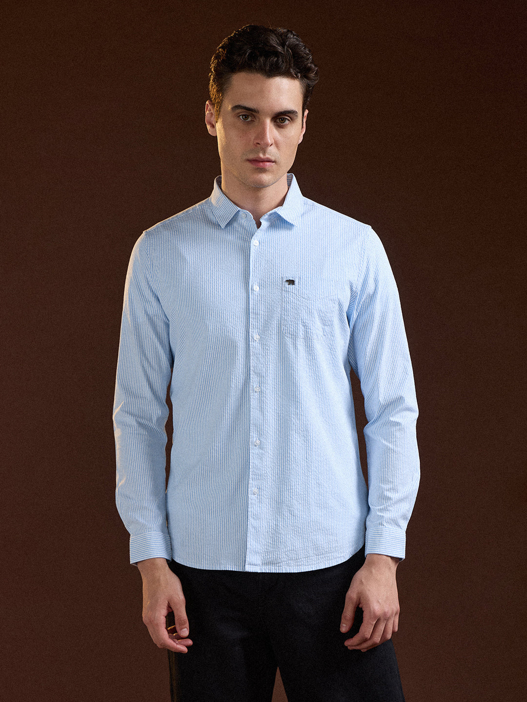 Light Blue Pin Vertical Stripes Slim Fit Casual Shirt