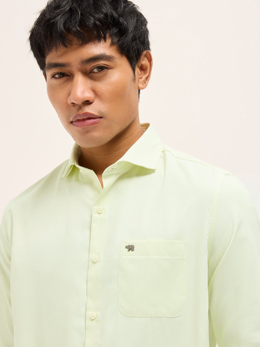 Light Green Solid Tailored Fit Formal Shirt