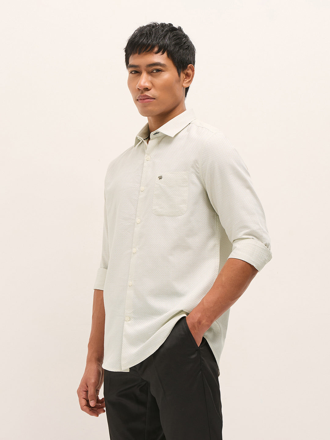 Light Green Woven Cotton Blend Tailored Fit Formal Shirt